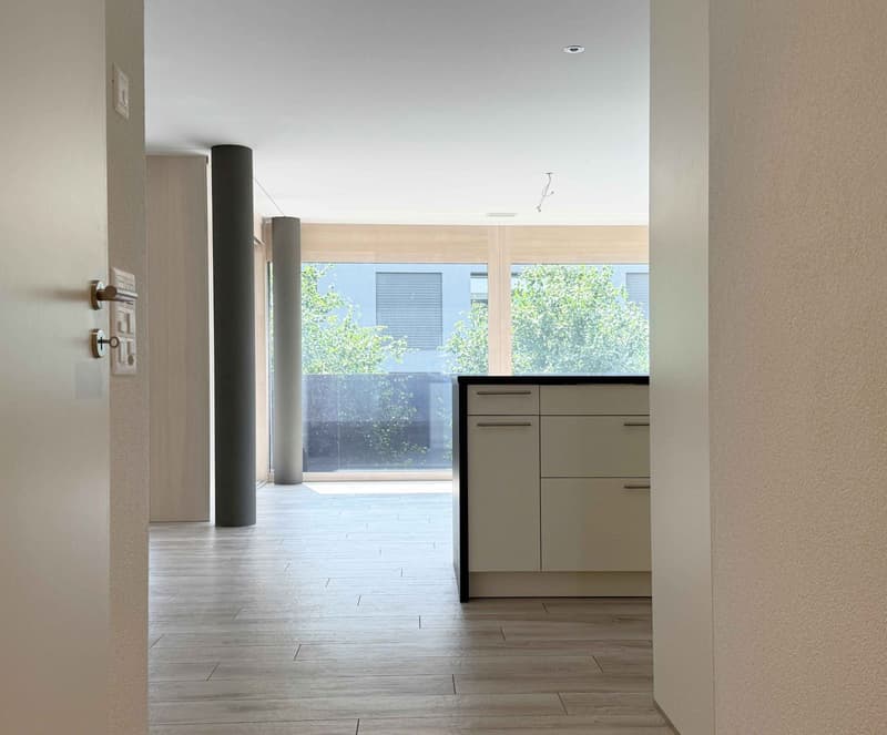 TIERSTEINBLICK - Exklusive 4.5-Zimmer-Wohnung in Gipf-Oberfrick - Hier werden Wohnträume wahr! (5)