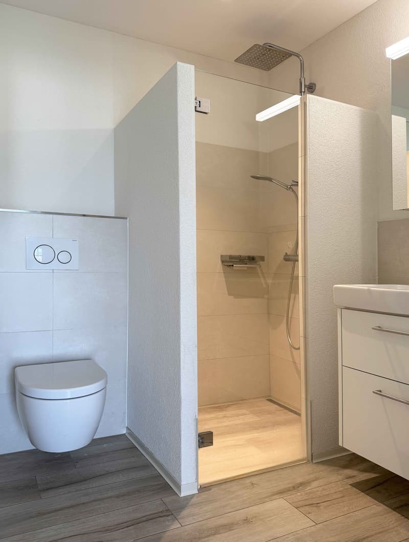 TIERSTEINBLICK - Exklusive 4.5-Zimmer-Wohnung in Gipf-Oberfrick - Hier werden Wohnträume wahr! (10)