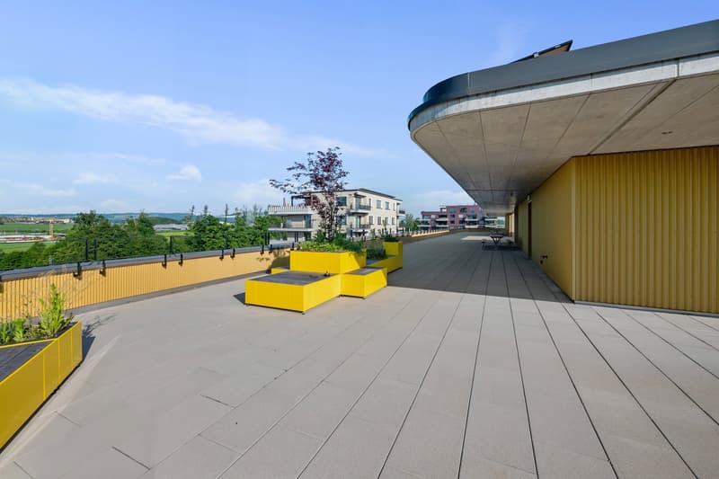 concrete floor with yellow planters, metal roof overhang, yellow walls, grassy background