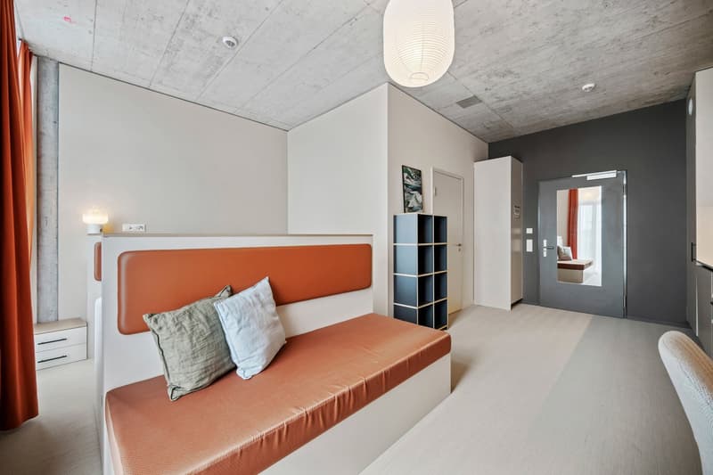 Geräumiges Design-Apartment (4)