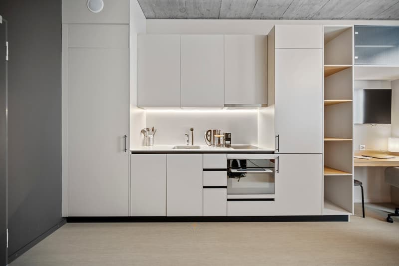 Geräumiges Design-Apartment (2)
