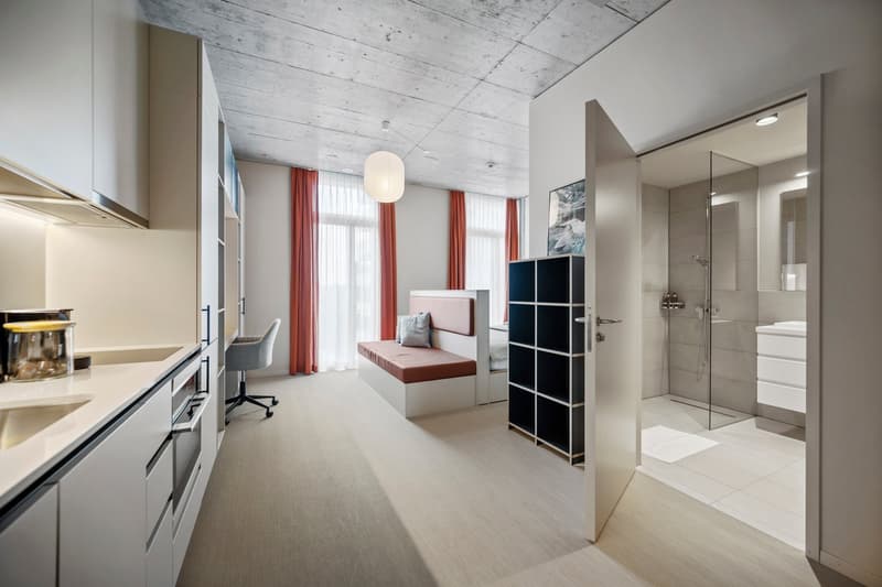 Geräumiges Design-Apartment (3)