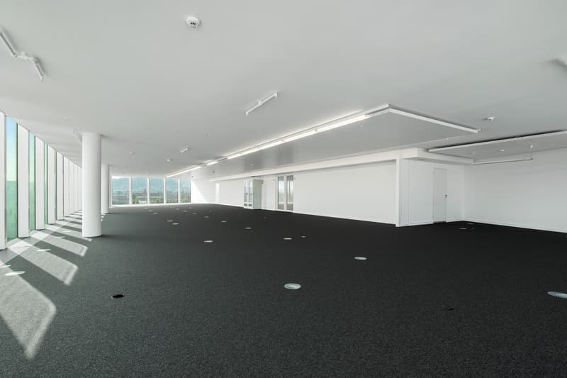 Large open office space with high ceilings, white walls, and black carpeted flooring. The space has multiple windows providing natural light. There are recessed lighting fixtures and a suspended lighting panel running along the ceiling.