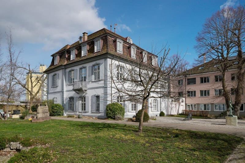 Historic building, classic architecture, large windows, multiple floors, front lawn, garden area, trees, shrubs, pathway leading to entrance, statue in the front yard