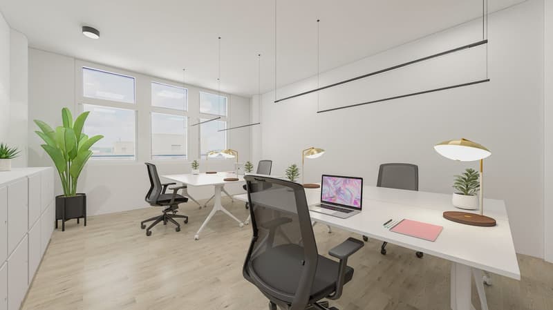 Spacious modern office with large windows, white walls, hardwood floors, a long desk with multiple workstations, ergonomic office chairs, and various potted plants and decor elements.