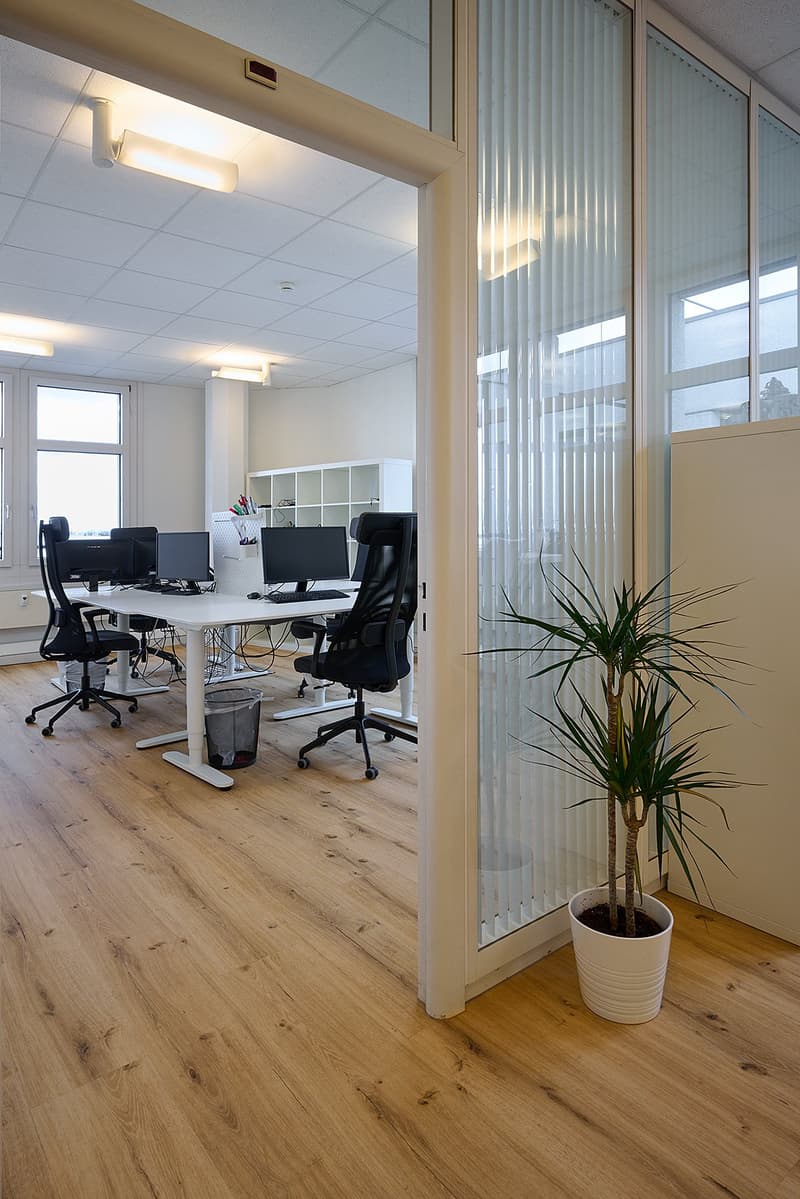 Bright and modern office space with large windows, hardwood floors, white walls, and a conference table with office chairs. There is a potted plant in the corner, adding a touch of greenery to the space.