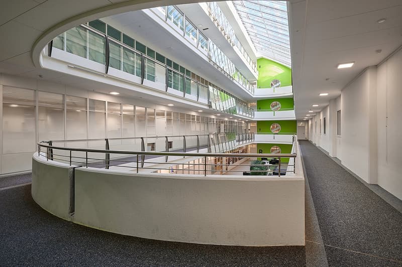The image shows a modern, open-plan office space with a curved, glass-walled walkway above the main floor. The space features a high ceiling with skylights, allowing natural light to flood the area. The walls are painted in a light, neutral color, and the