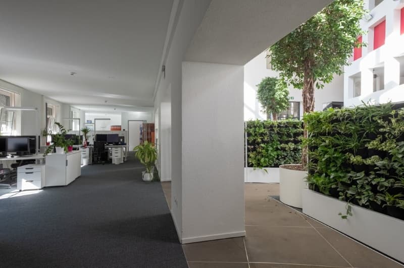 modern office with carpeted floor, white walls, white desks, potted plants, glass window, trees, tiled corridor, plants in the wall