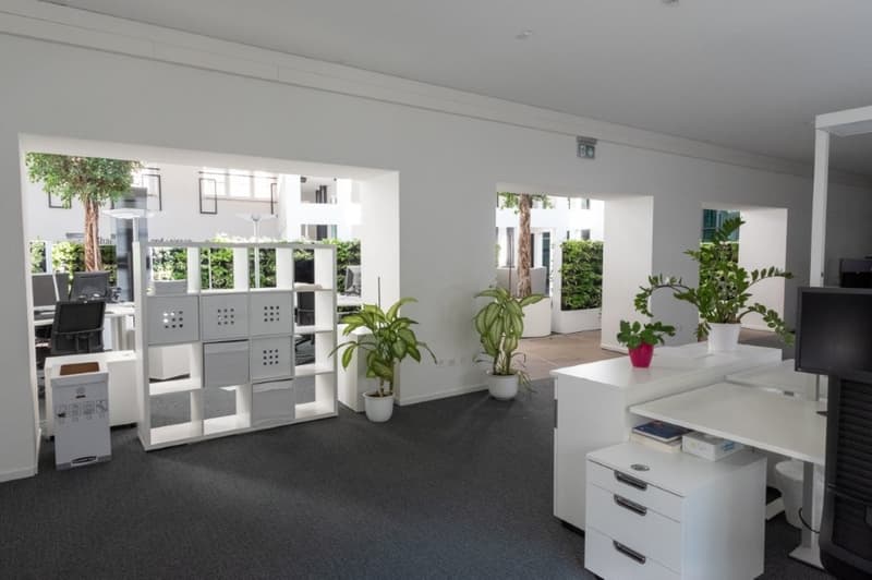 bright room with white walls, gray carpeted floor, several white desks, shelves, office chairs, monitor, plants