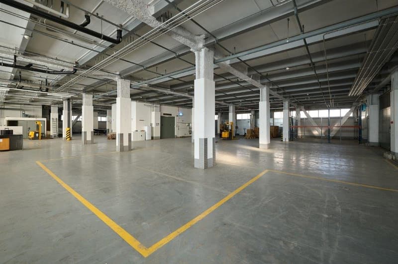 Large open warehouse space with concrete floor, exposed ceiling beams and columns, and yellow safety lines on the floor.