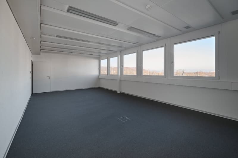 Gewerbe und Büro in Einem! (7)
