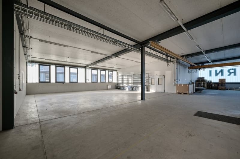 Gewerbe und Büro in Einem! (1)