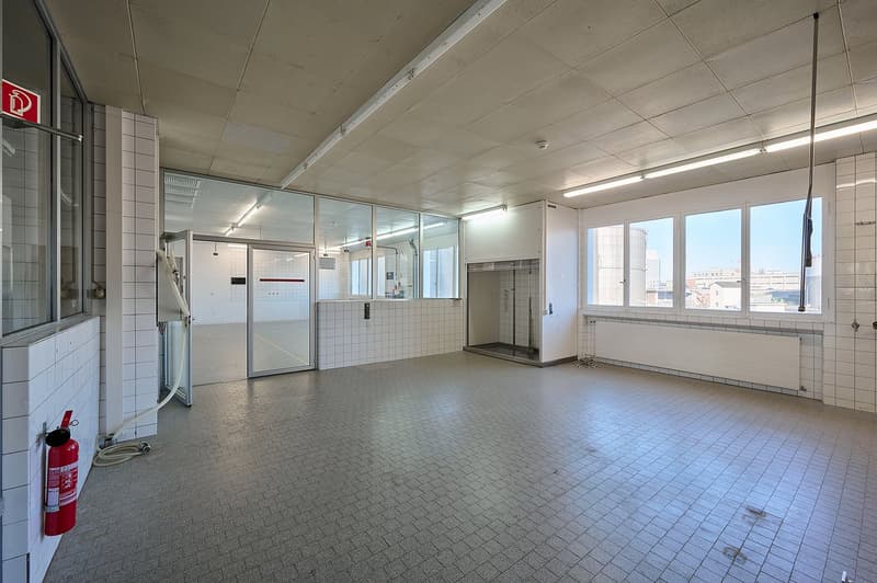 HafenWerk Birsfelden – Werkstatt / Gewerbe (2)