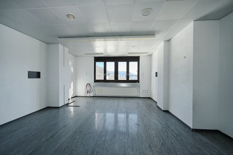 HafenWerk Birsfelden – Werkstatt / Gewerbe (4)