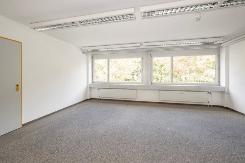 Büro mit Perspektive (2)