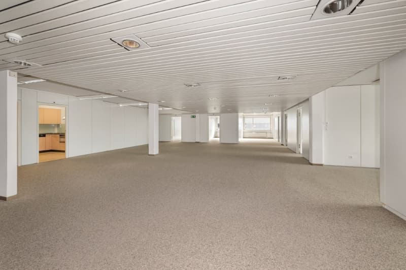 Büro mit Perspektive (5)