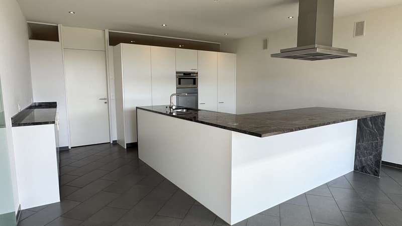 Exclusive terrace apartment in Herrliberg (4)