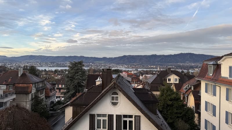 Habiter avec vue sur la montagne locale de Zurich (2)