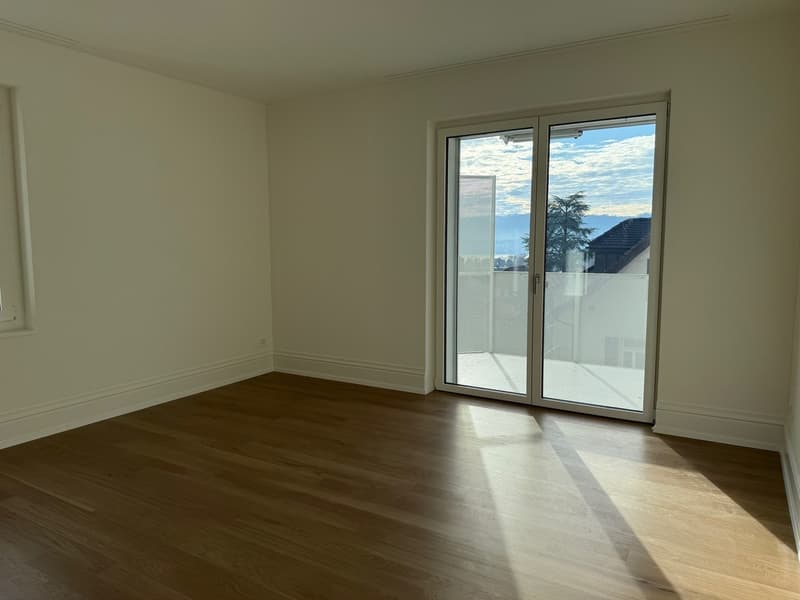 Habiter avec vue sur la montagne locale de Zurich (4)