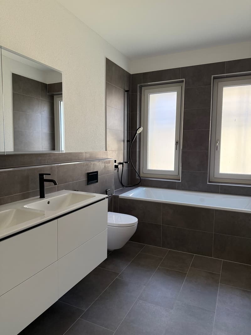 Habiter avec vue sur la montagne locale de Zurich (8)