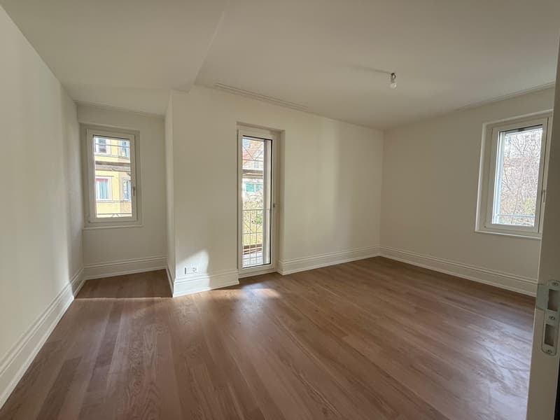 Habiter avec vue sur la montagne locale de Zurich (5)