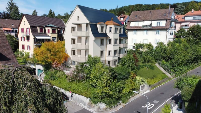 Habiter avec vue sur la montagne locale de Zurich (1)