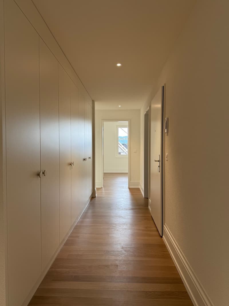 Habiter avec vue sur la montagne locale de Zurich (3)