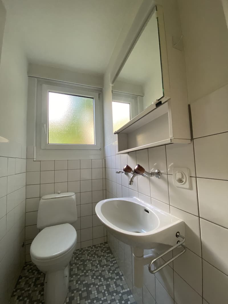 3.5-room apartment for rent in Horgen (10)
