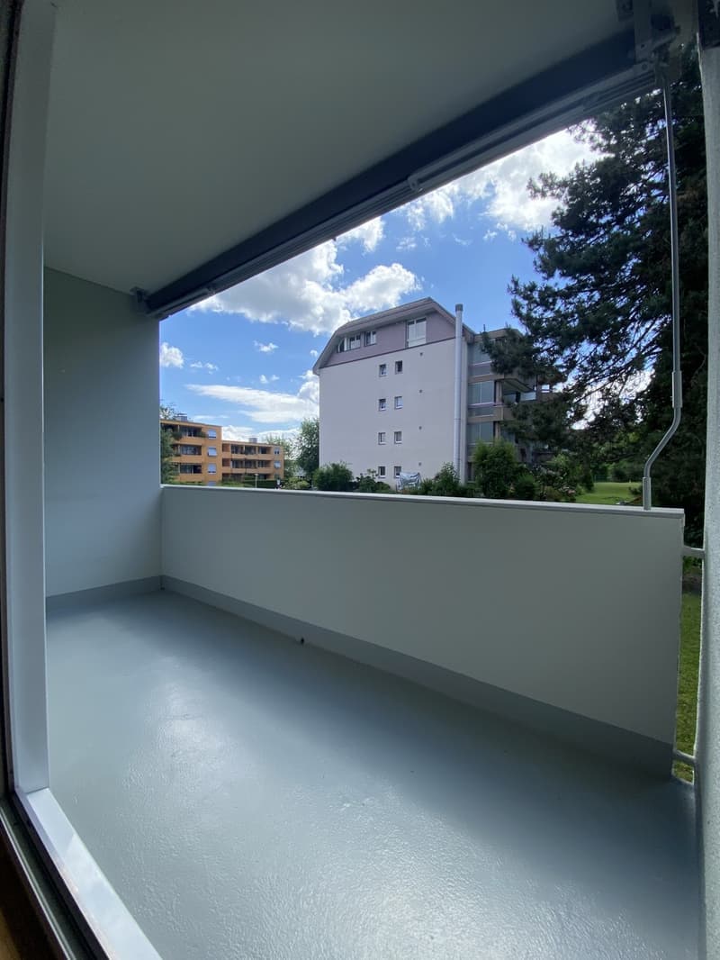 3.5-room apartment for rent in Horgen (11)