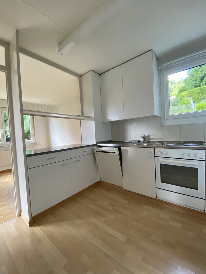 3.5-room apartment for rent in Horgen (3)
