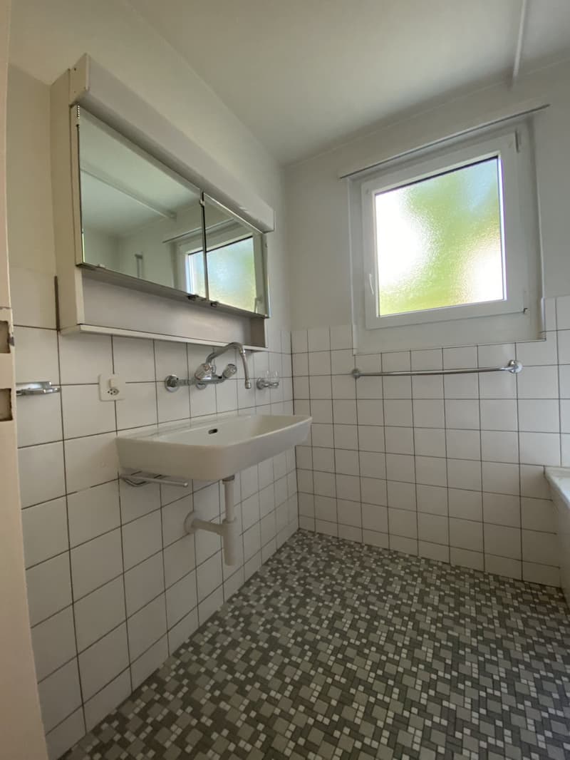 3.5-room apartment for rent in Horgen (9)
