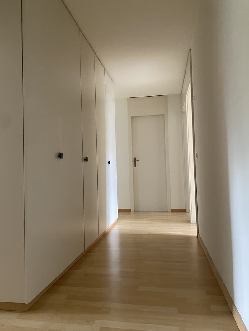 Appartamento di 3.5 locali in affitto a Horgen (4)