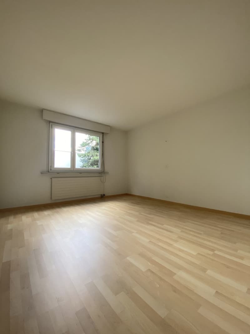 Appartamento di 3.5 locali in affitto a Horgen (8)