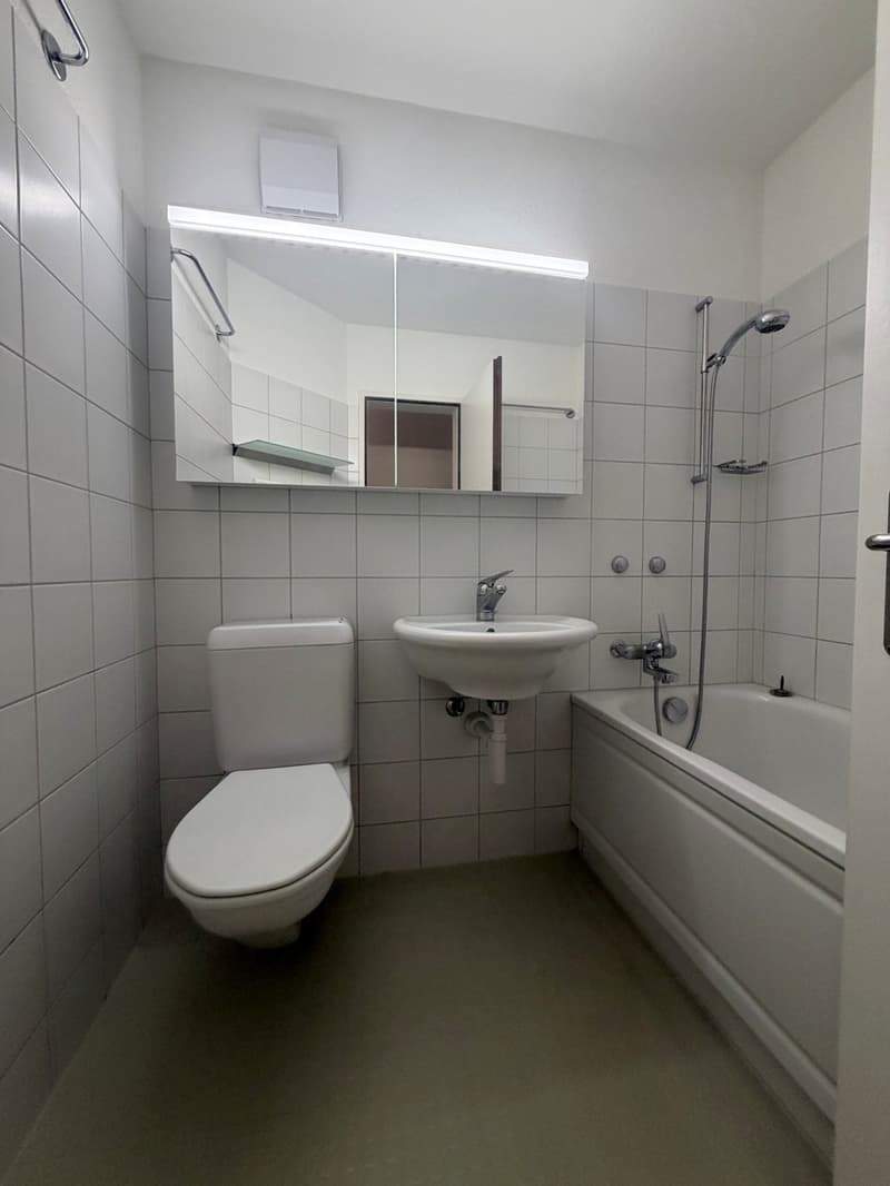Charming 3.0-room old building apartment - Limited until 31.03.2027 - (4)