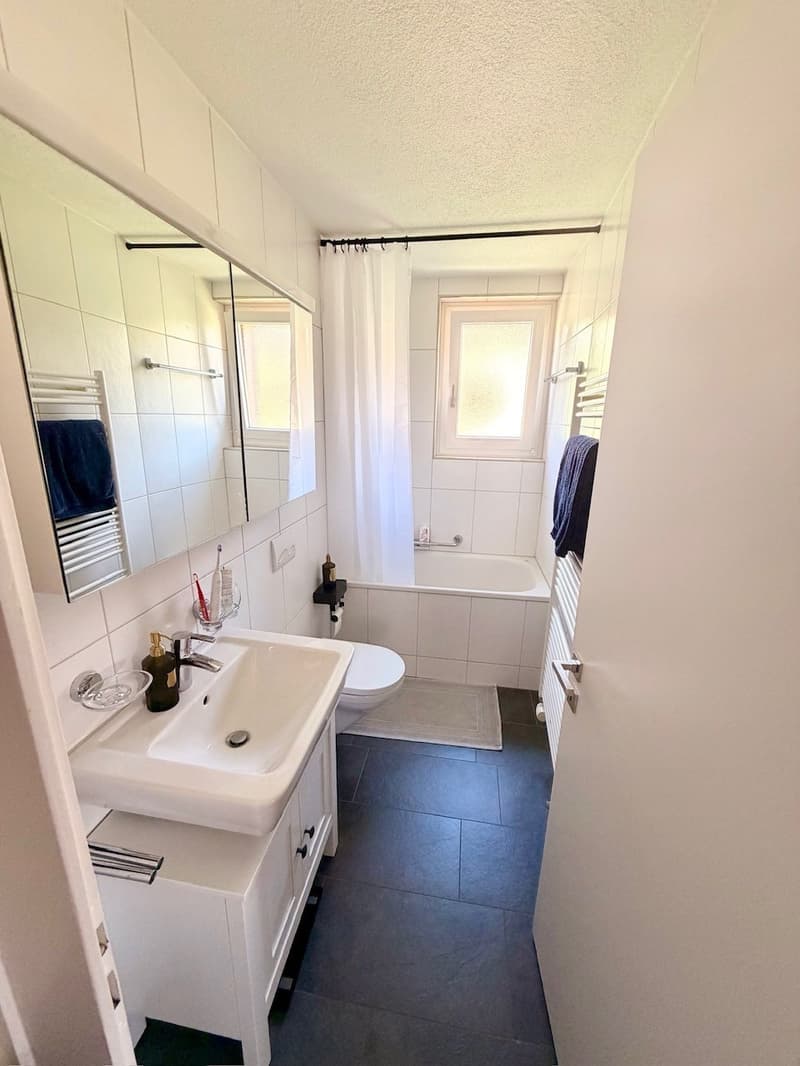 Charmant appartement de 2.0 pièces en mansarde (4)
