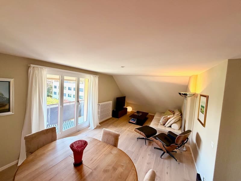 Charmant appartement de 2.0 pièces en mansarde (2)