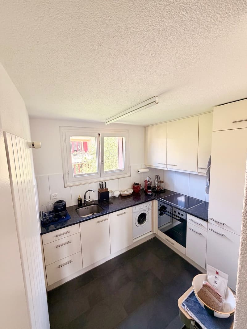 Charmant appartement de 2.0 pièces en mansarde (3)