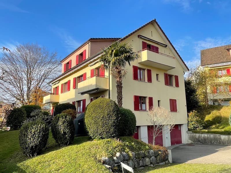 Charmant appartement de 2.0 pièces en mansarde (1)