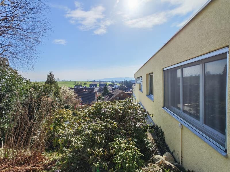 Blick vom Garten