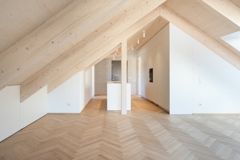 Appartement neuf exclusif à Muttenz – prêt à être occupé à partir d'avril 2026 (2)