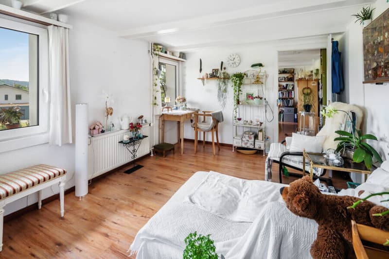 Multi-generation house or rental property (3)