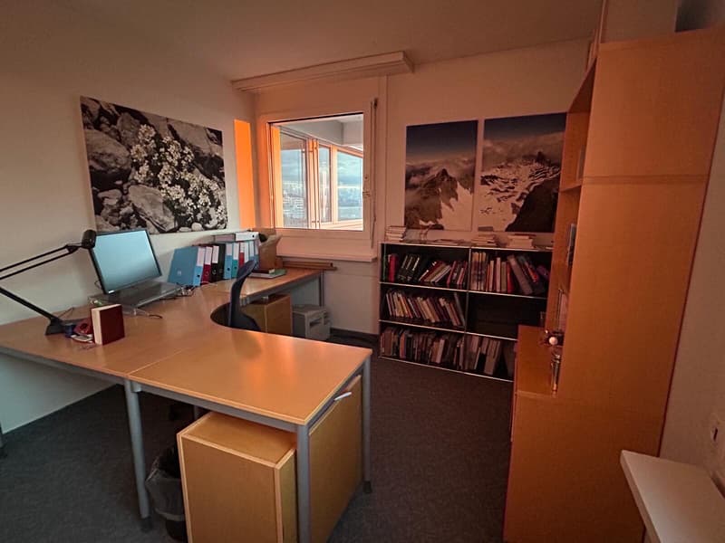 Representative workspace above the roofs of Zug (2)
