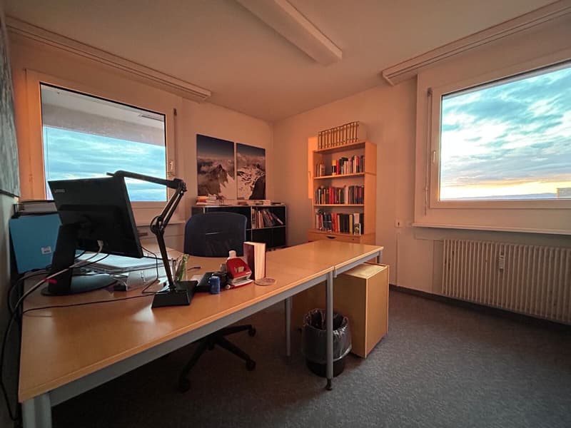 Representative workspace above the roofs of Zug (3)