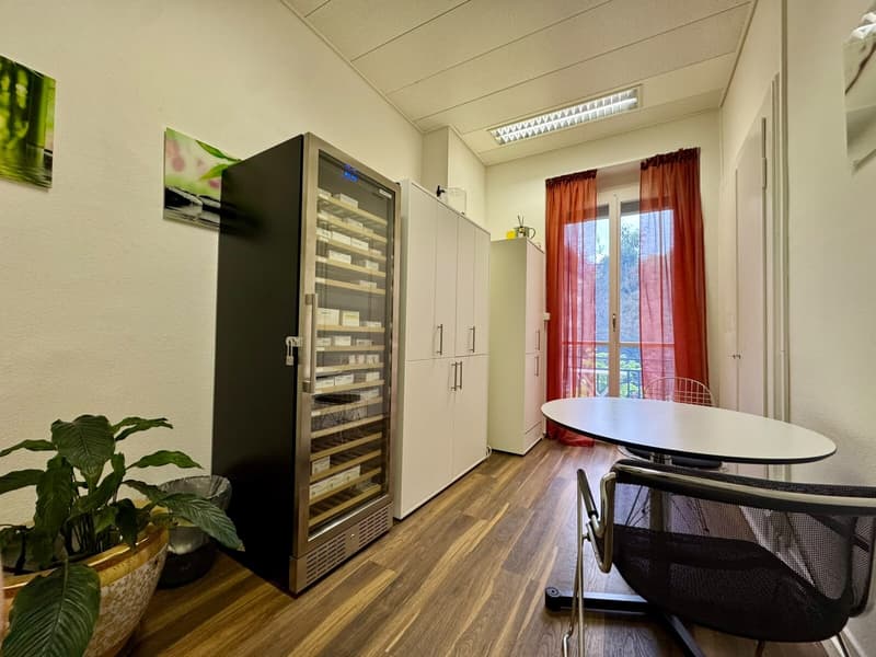 Exclusive medical and office spaces in Zurich-Seefeld (5)