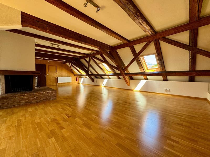 Rental property with residential and commercial use in Bellach (5)