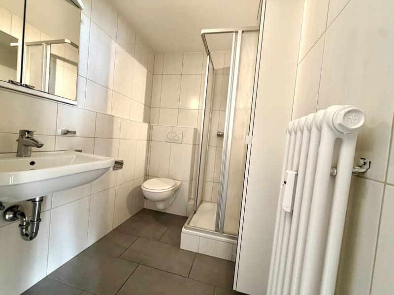 Helle 2.5-Zimmer-Wohnung mit Balkon und Lift in Basel kaufen (5)