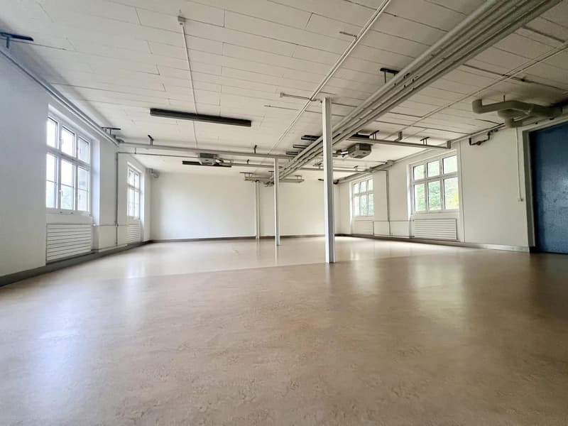 2.5-Zimmer-Loft mit 180 m² und offener Küche in Oberdorf mieten (7)