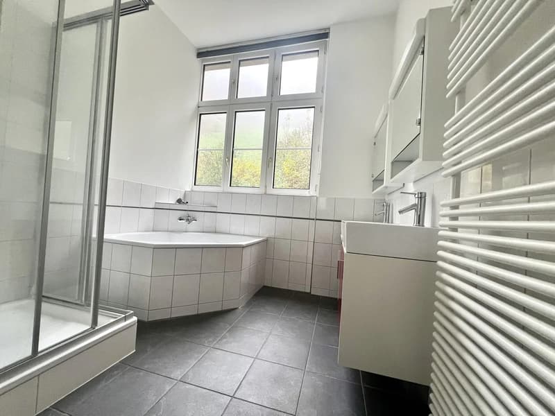 2.5-Zimmer-Loft mit 180 m² und offener Küche in Oberdorf mieten (5)