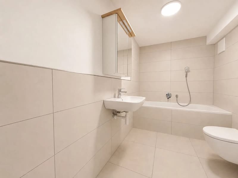 Renovierte 3.5-Zimmer-Maisonette mit 35 m² Balkon in Seewen mieten (6)