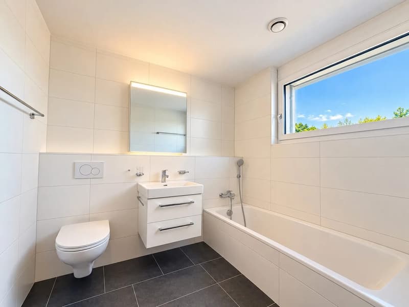 4.5-Zimmer-Penthouse mit Dachterrasse in Therwil mieten (6)